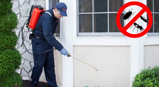 Demirköy Böcek İlaçlama böcek ilaçlama ve haşere kontrolü — ilaclama-tr.com
